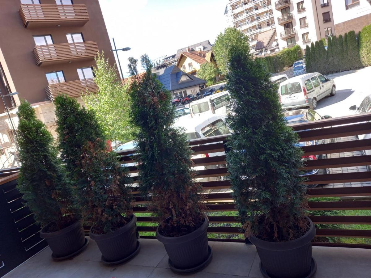 Apartman Oaza Kalman Spa-Gym Zlatibor Exteriör bild